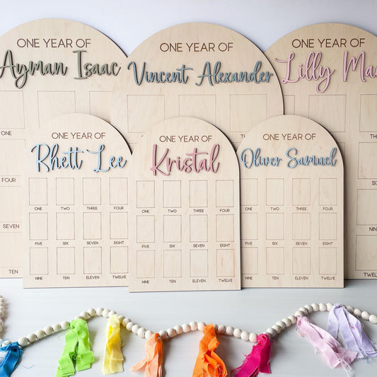 My First Year Board, One Year Photo Board, My First Year Photo Display, 12 month picture sign, Baby's first year sign, 1st Birthday Decor