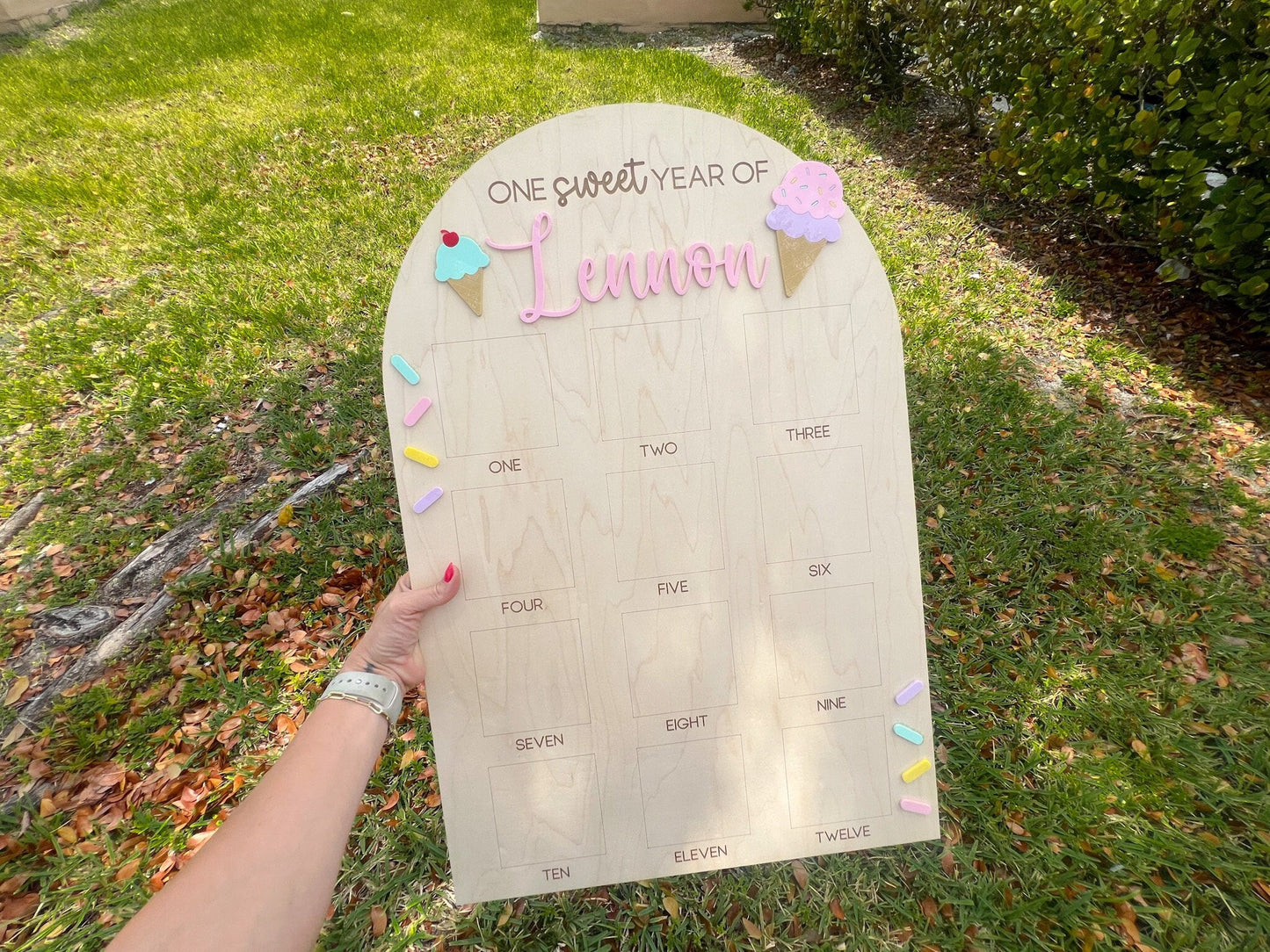 One Sweet Year Photo Board, Ice Cream Birthday Party, Sweets Theme First Birthday Monthly Photo Board, Sweet One First Year Photo Display