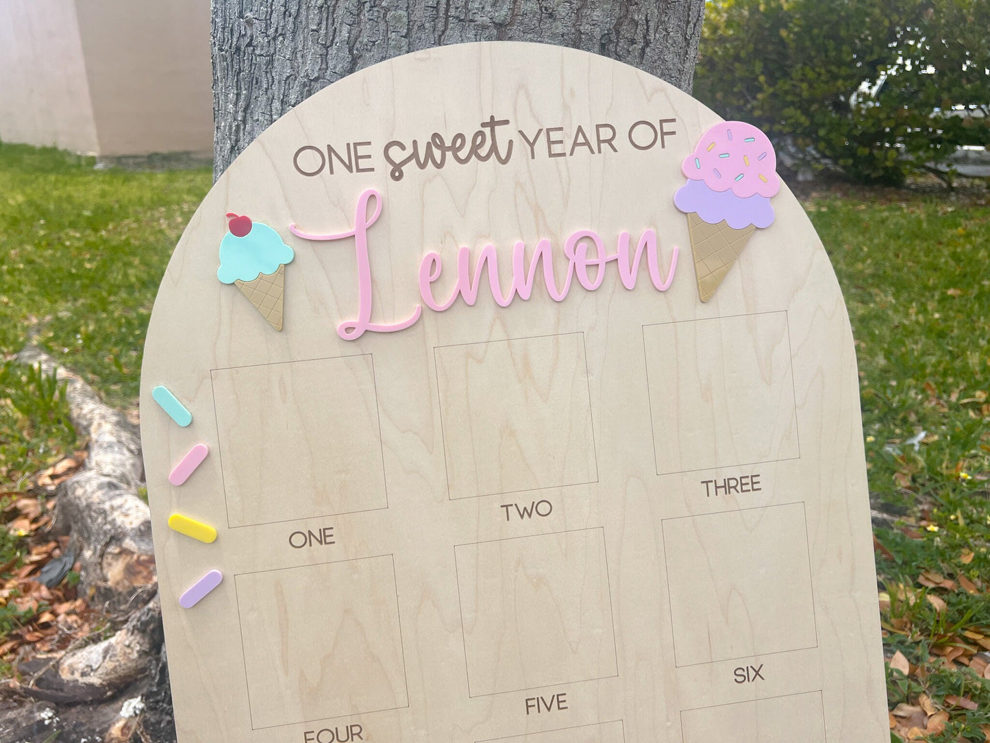One Sweet Year Photo Board, Ice Cream Birthday Party, Sweets Theme First Birthday Monthly Photo Board, Sweet One First Year Photo Display