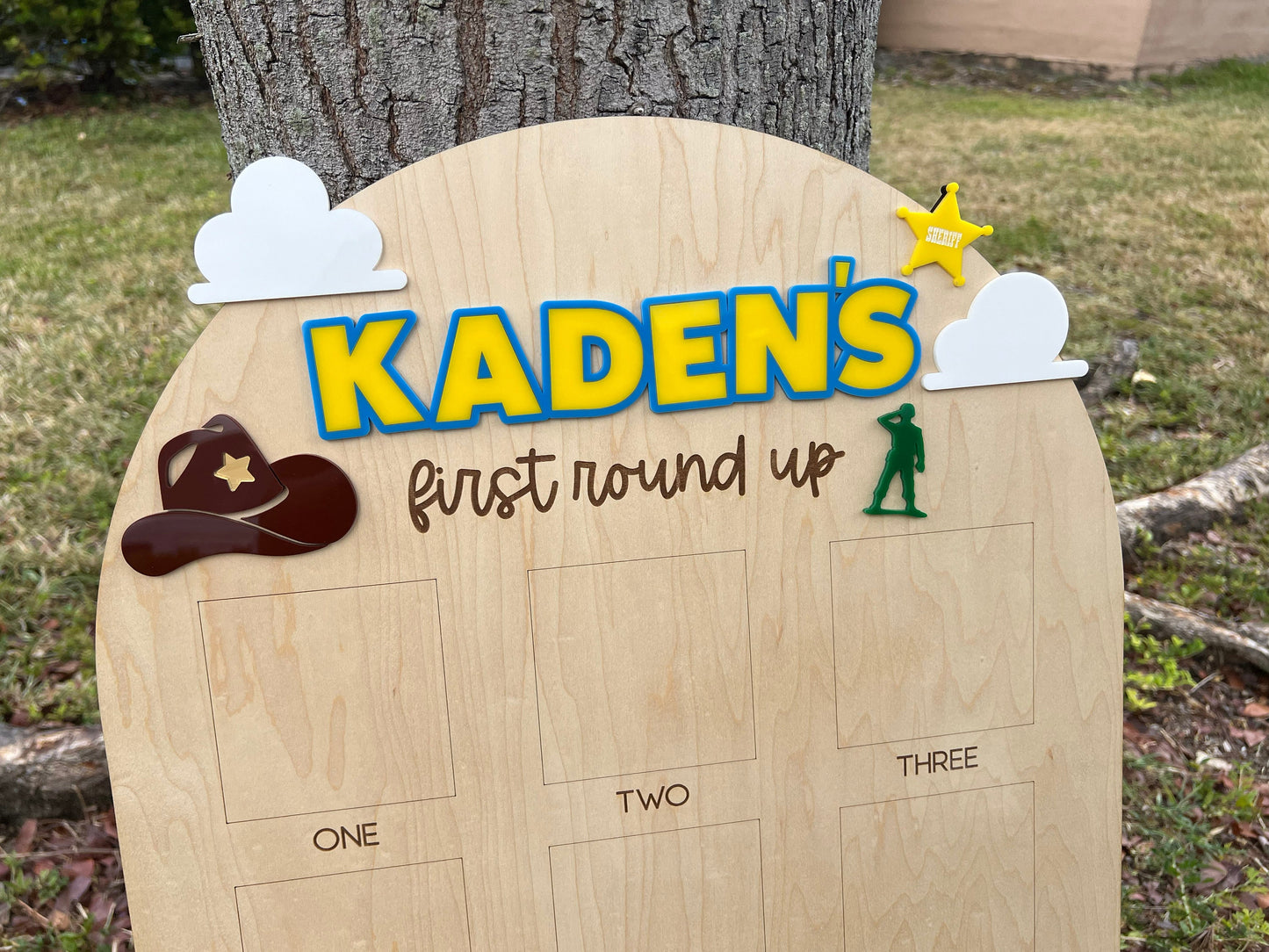 One Year Of First Birthday Photo Board, First Round Up Toy Theme First Birthday, 1st Birthday My First Rodeo Party, Cowboy Spaceranger