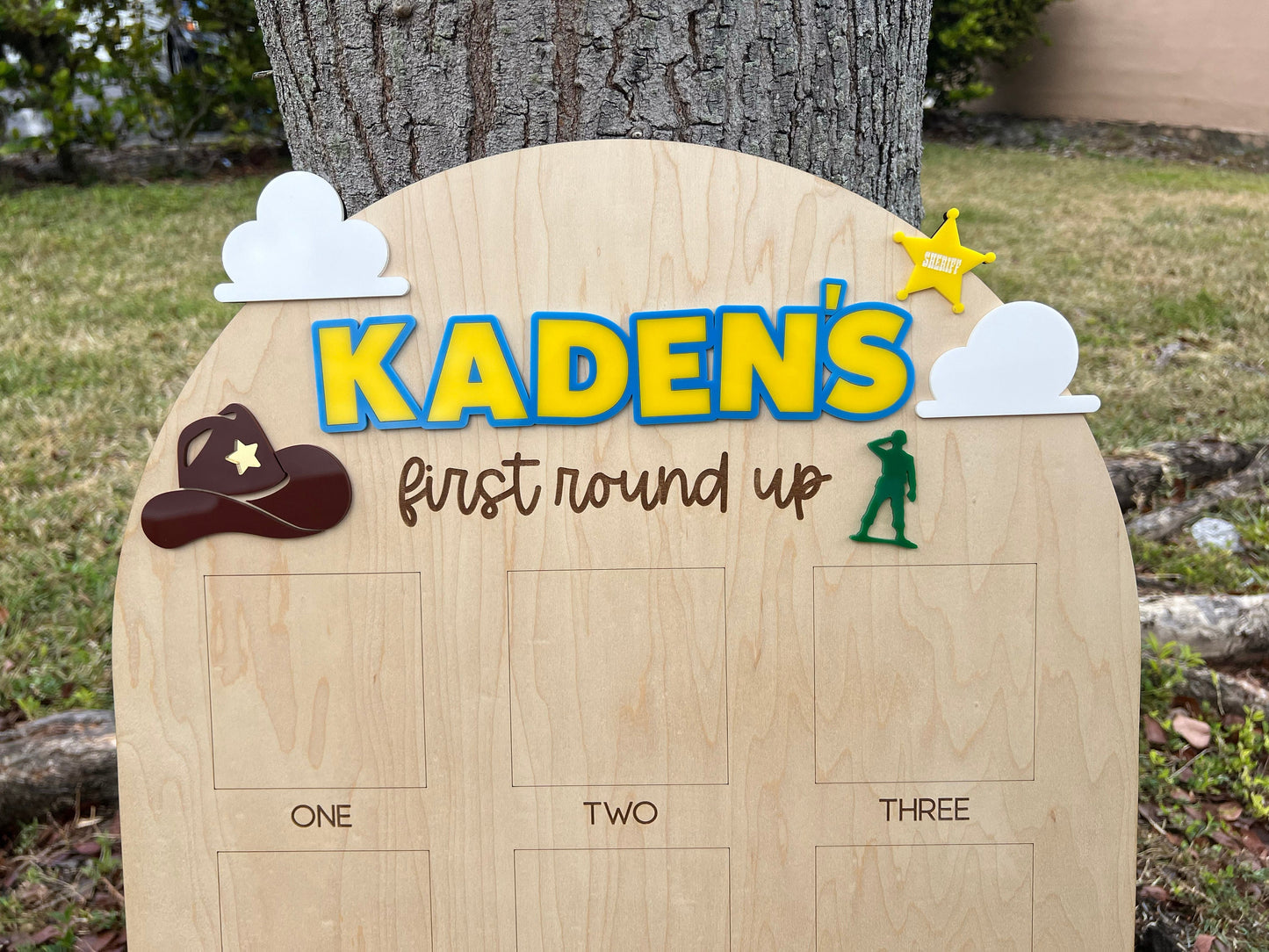 One Year Of First Birthday Photo Board, First Round Up Toy Theme First Birthday, 1st Birthday My First Rodeo Party, Cowboy Spaceranger