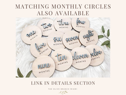 Baby Hospital Sign, Holiday Baby Birth Announcement, December Baby Name Sign for Hospital, Baby Birth Stats Sign, Newborn Announcement