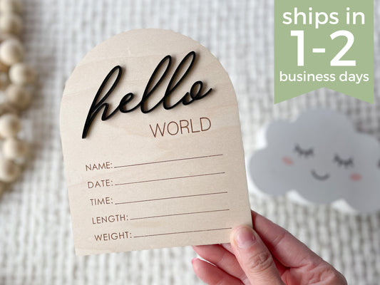 Hello World Birth Announcement Sign, Gender Reveal Newborn Sign for Hospital, Welcome Baby Plaque, Baby Name Sign, Its a Boy Its a Girl