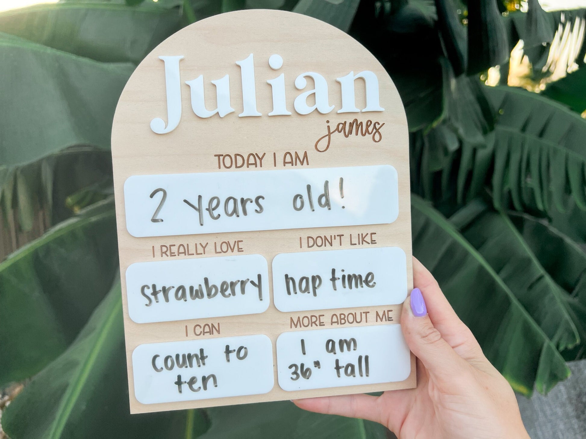 Monthly Milestone Board, Baby Month Sign, First Year Milestone Board, Monthly Photo Sign for Baby milestones, Baby's First Year Board