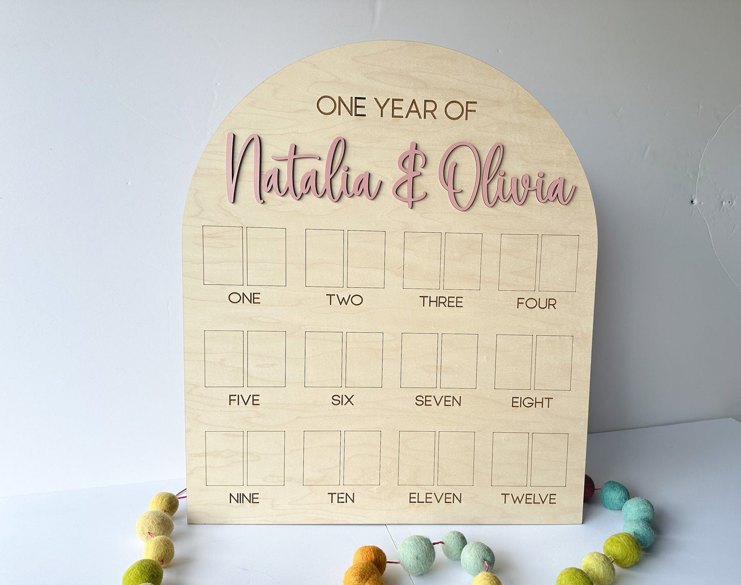 My First Year Board, One Year of Photo Board, First Year Board, First Birthday Decor, Baby's my first year sign 4x6, One Year Old Birthday