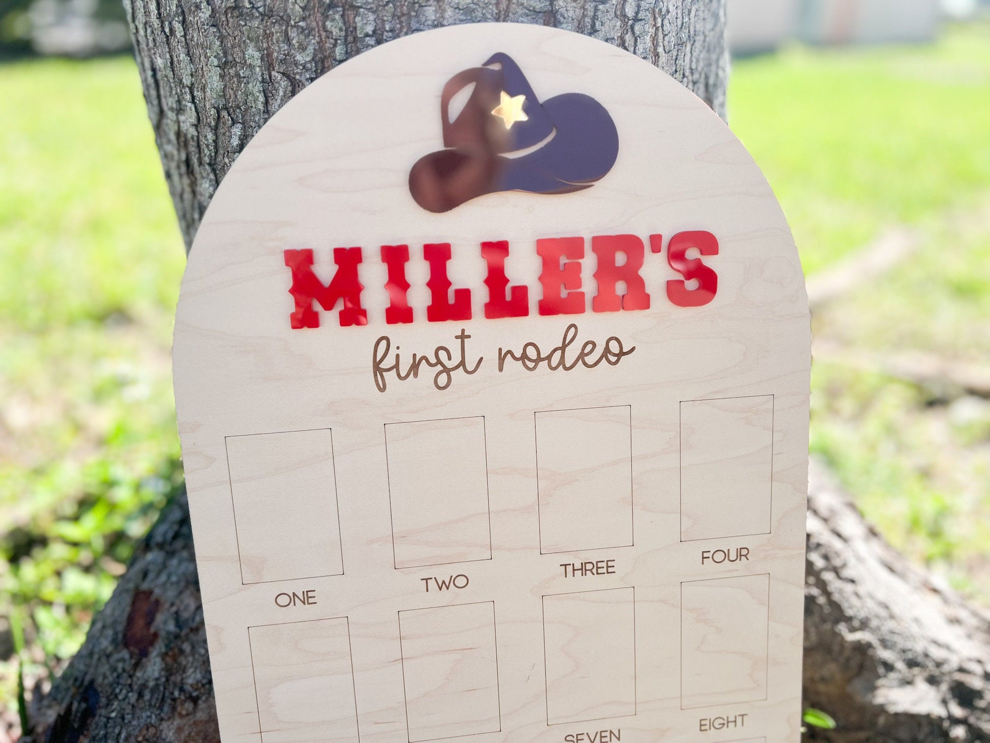 One Year Of Photo Board, First Rodeo Birthday Party Decor, Cowboy Theme First Birthday, 1st Birthday Rodeo Party, 12 Month Photo display