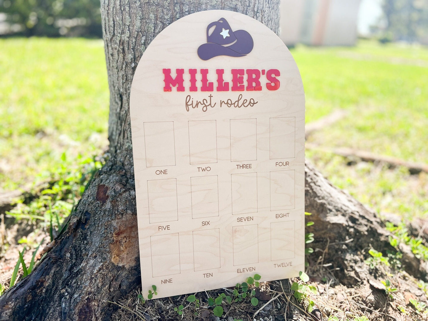 One Year Of Photo Board, First Rodeo Birthday Party Decor, Cowboy Theme First Birthday, 1st Birthday Rodeo Party, 12 Month Photo display