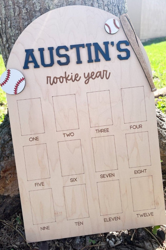 Baseball Birthday Photo Board, Sport Theme First Birthday, Rookie of the Year First Photo Board, 1st Birthday Baseball Party, 12 Month Photo