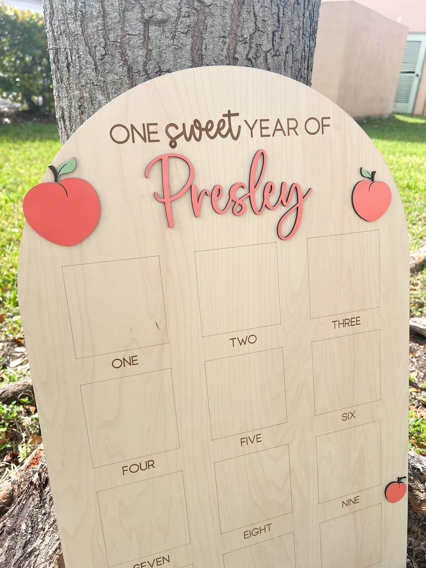 One Sweet Year Photo Board, One Sweet Peach Birthday decor, Baby's first year Sign, 12 month frame, Peachy One 1st Birthday Photo Collage