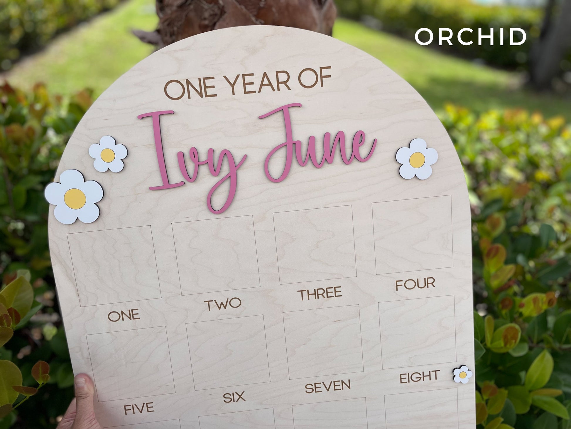 One Year of Photo Board, Daisy Birthday decor, Baby's first year Sign, 12 month frame, Groovy One Birthday Decor, 1st Birthday Photo Collage