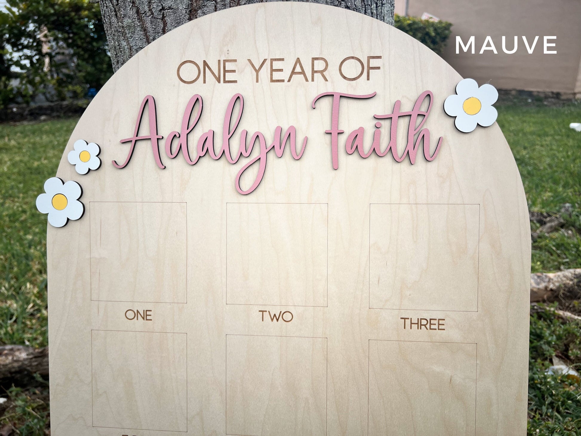 One Year of Photo Board, Daisy Birthday decor, Baby's first year Sign, 12 month frame, Groovy One Birthday Decor, 1st Birthday Photo Collage