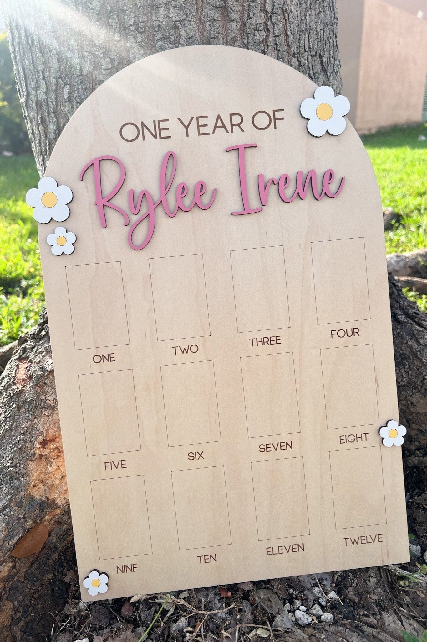 One Year of Photo Board, Daisy Birthday decor, Baby's first year Sign, 12 month frame, Groovy One Birthday Decor, 1st Birthday Photo Collage