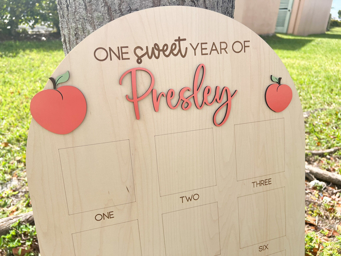 One Sweet Year Photo Board, One Sweet Peach Birthday decor, Baby's first year Sign, 12 month frame, Peachy One 1st Birthday Photo Collage