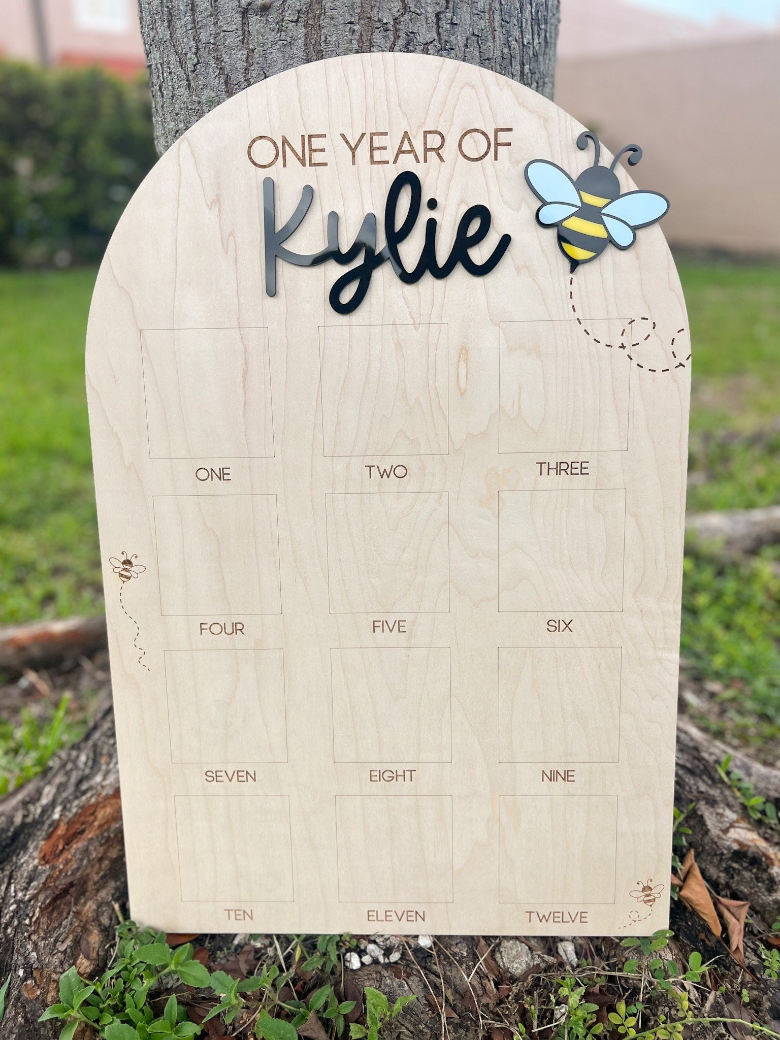 One year of Photo Board, Fun to Bee One Birthday Decor, Sweet to bee one party, Bumble Bee 1st bee day, Queen Bee first birthday party,