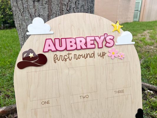 One Year Of First Birthday Photo Board, First Round Up Toy Theme First Birthday, 1st Birthday My First Rodeo Party, Cowgirl Toy Birthday
