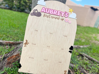 One Year Of First Birthday Photo Board, First Round Up Toy Theme First Birthday, 1st Birthday My First Rodeo Party, Cowgirl Toy Birthday