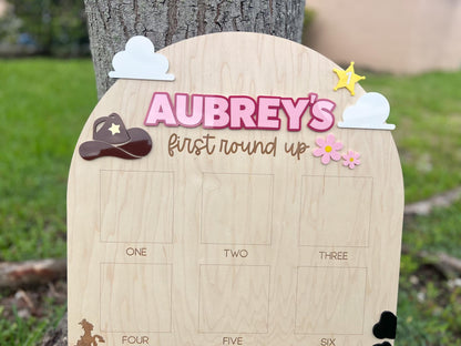 One Year Of First Birthday Photo Board, First Round Up Toy Theme First Birthday, 1st Birthday My First Rodeo Party, Cowgirl Toy Birthday