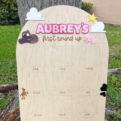 One Year Of First Birthday Photo Board, First Round Up Toy Theme First Birthday, 1st Birthday My First Rodeo Party, Cowgirl Toy Birthday