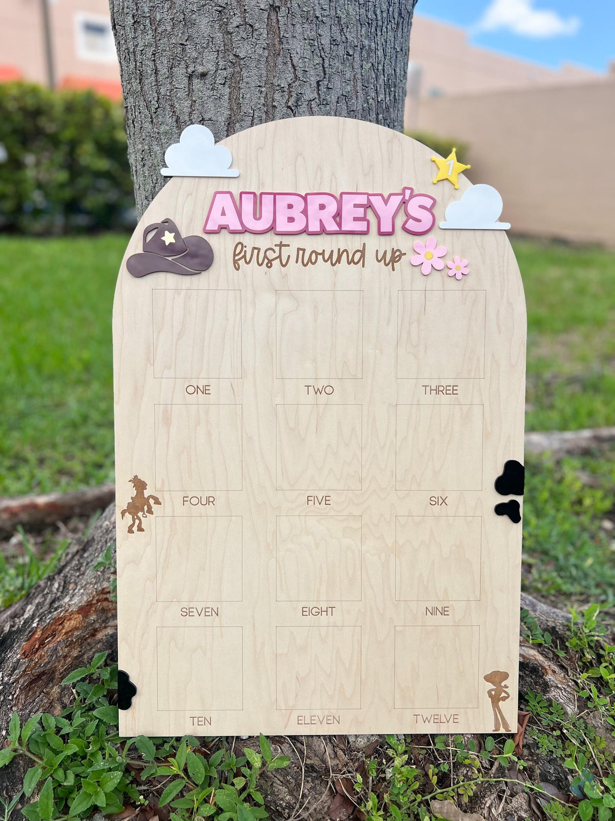 One Year Of First Birthday Photo Board, First Round Up Toy Theme First Birthday, 1st Birthday My First Rodeo Party, Cowgirl Toy Birthday