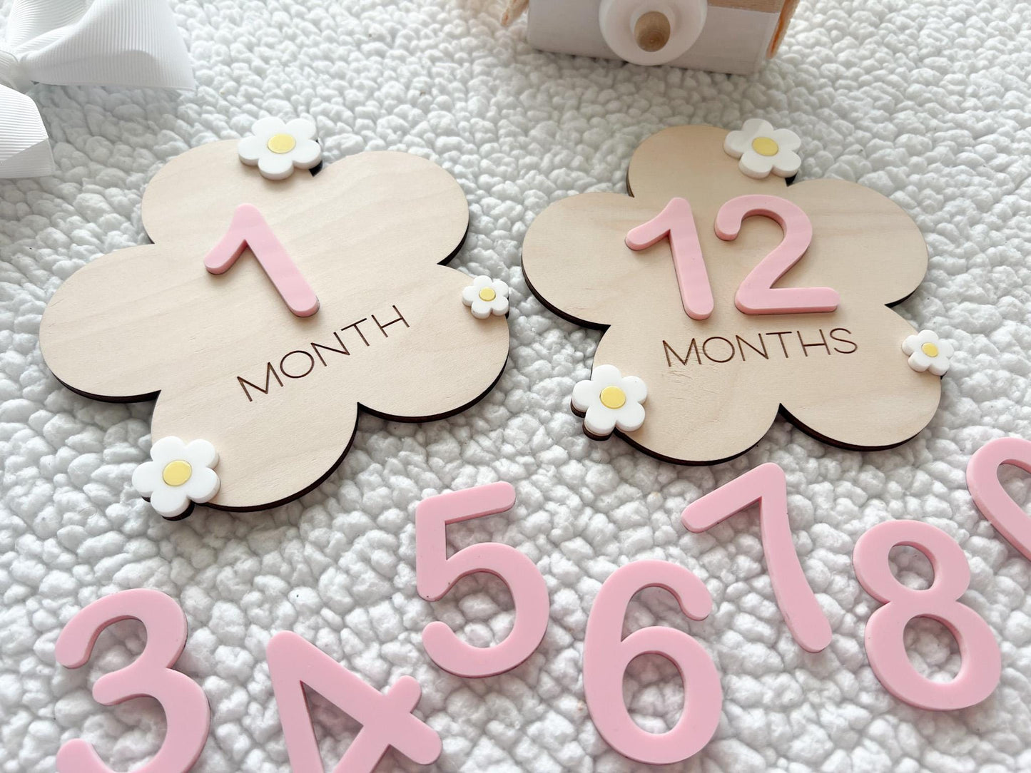 Baby Monthly Daisy Milestone Marker, Interchangeable Flower Monthly Milestone Cards, Gift for Baby Shower Gift, Newborn Photo Prop for girls