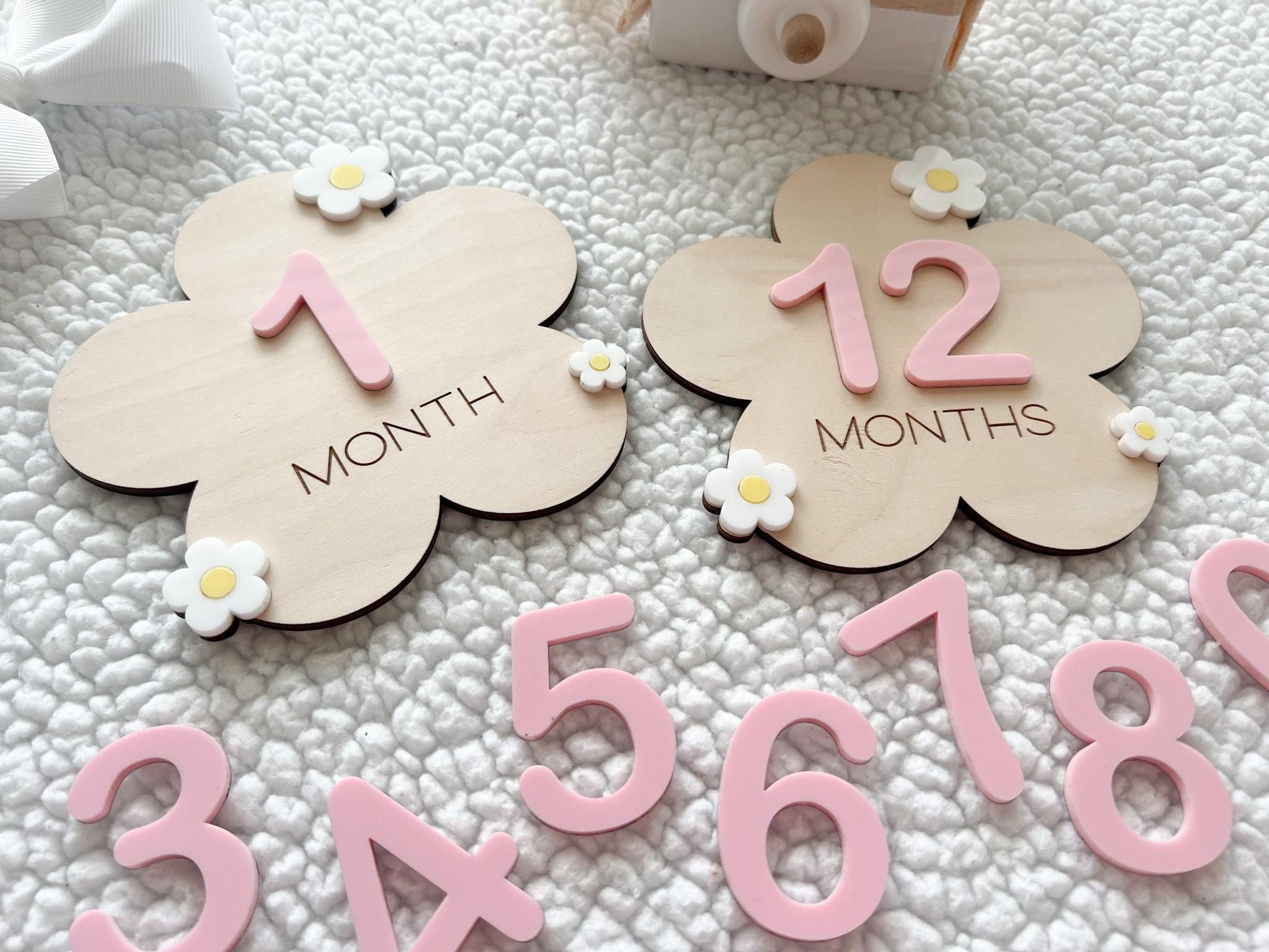 Baby Monthly Daisy Milestone Marker, Interchangeable Flower Monthly Milestone Cards, Gift for Baby Shower Gift, Newborn Photo Prop for girls