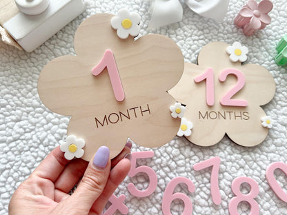 Baby Monthly Daisy Milestone Marker, Interchangeable Flower Monthly Milestone Cards, Gift for Baby Shower Gift, Newborn Photo Prop for girls