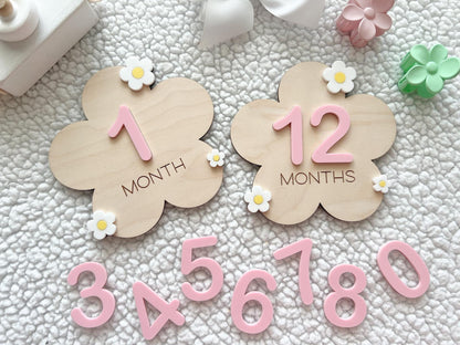 Baby Monthly Daisy Milestone Marker, Interchangeable Flower Monthly Milestone Cards, Gift for Baby Shower Gift, Newborn Photo Prop for girls