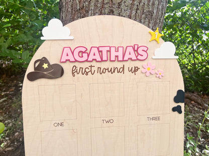 One Year Of First Birthday Photo Board, First Round Up Toy Theme First Birthday, 1st Birthday My First Rodeo Party, Cowgirl Toy Birthday