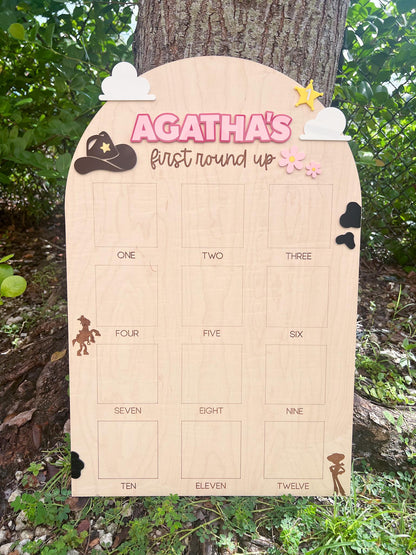 One Year Of First Birthday Photo Board, First Round Up Toy Theme First Birthday, 1st Birthday My First Rodeo Party, Cowgirl Toy Birthday
