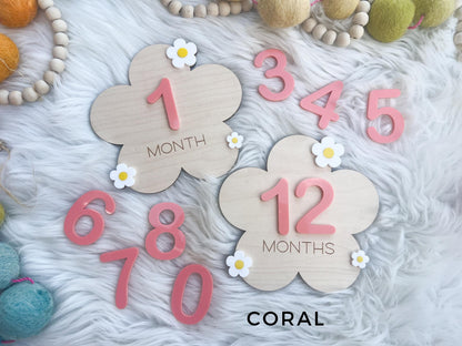 Baby Monthly Daisy Milestone Marker, Interchangeable Flower Monthly Milestone Cards, Gift for Baby Shower Gift, Newborn Photo Prop for girls