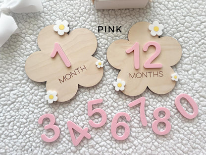 Baby Monthly Daisy Milestone Marker, Interchangeable Flower Monthly Milestone Cards, Gift for Baby Shower Gift, Newborn Photo Prop for girls