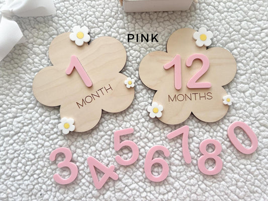 Baby Monthly Daisy Milestone Marker, Interchangeable Flower Monthly Milestone Cards, Gift for Baby Shower Gift, Newborn Photo Prop for girls