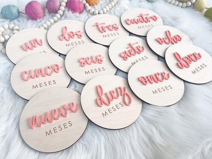 Spanish Monthly Milestone Marker, Baby Month Photo Sign, Monthly Wooden Milestone Discs, Baby Shower Gift, Espanol Baby Milestone Acrylic