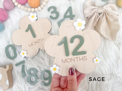 Baby Monthly Daisy Milestone Marker, Interchangeable Flower Monthly Milestone Cards, Gift for Baby Shower Gift, Newborn Photo Prop for girls