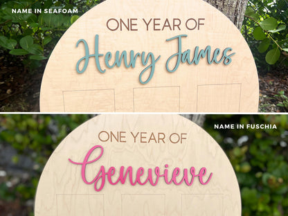 My First Year Board, One Year of Photo Board, First Year Board, First Birthday Decor, Baby's my first year sign 4x6, One Year Old Birthday
