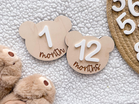 Teddy Bear Monthly Milestone Marker, Interchangeable Month Baby Bear Milestone cards, Monthly Wooden Milestone Discs, Baby Photo Signs