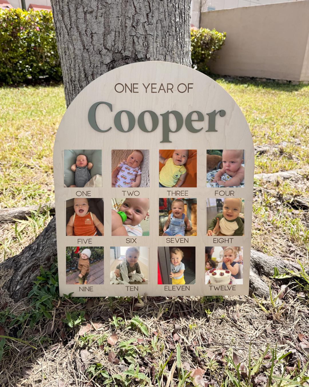 First Year Photo Board, One Year of Photo Board, Baby's my first year sign, 12 month frame, Birthday Decor, 1st Birthday Photo Collage,