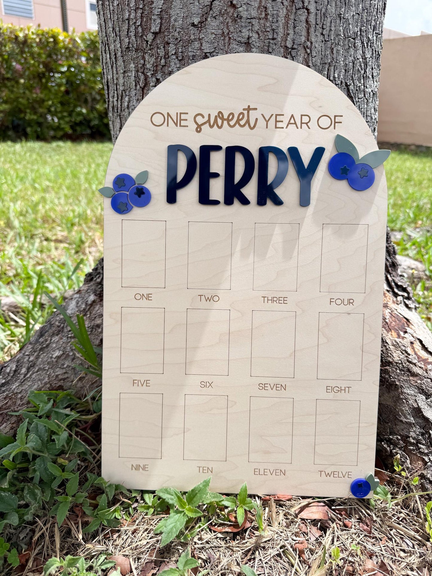 Blueberry Berry First Birthday Photo Board, One Year of Board Berry Sweet Birthday decor, Blueberry 1st birthday party decor sign, sweet one