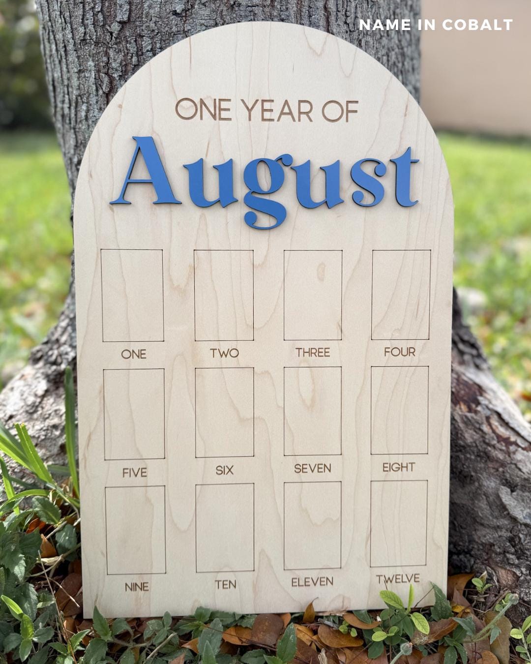 First Year Photo Board, One Year of Photo Board, Baby's my first year sign, 12 month frame, Birthday Decor, 1st Birthday Photo Collage,