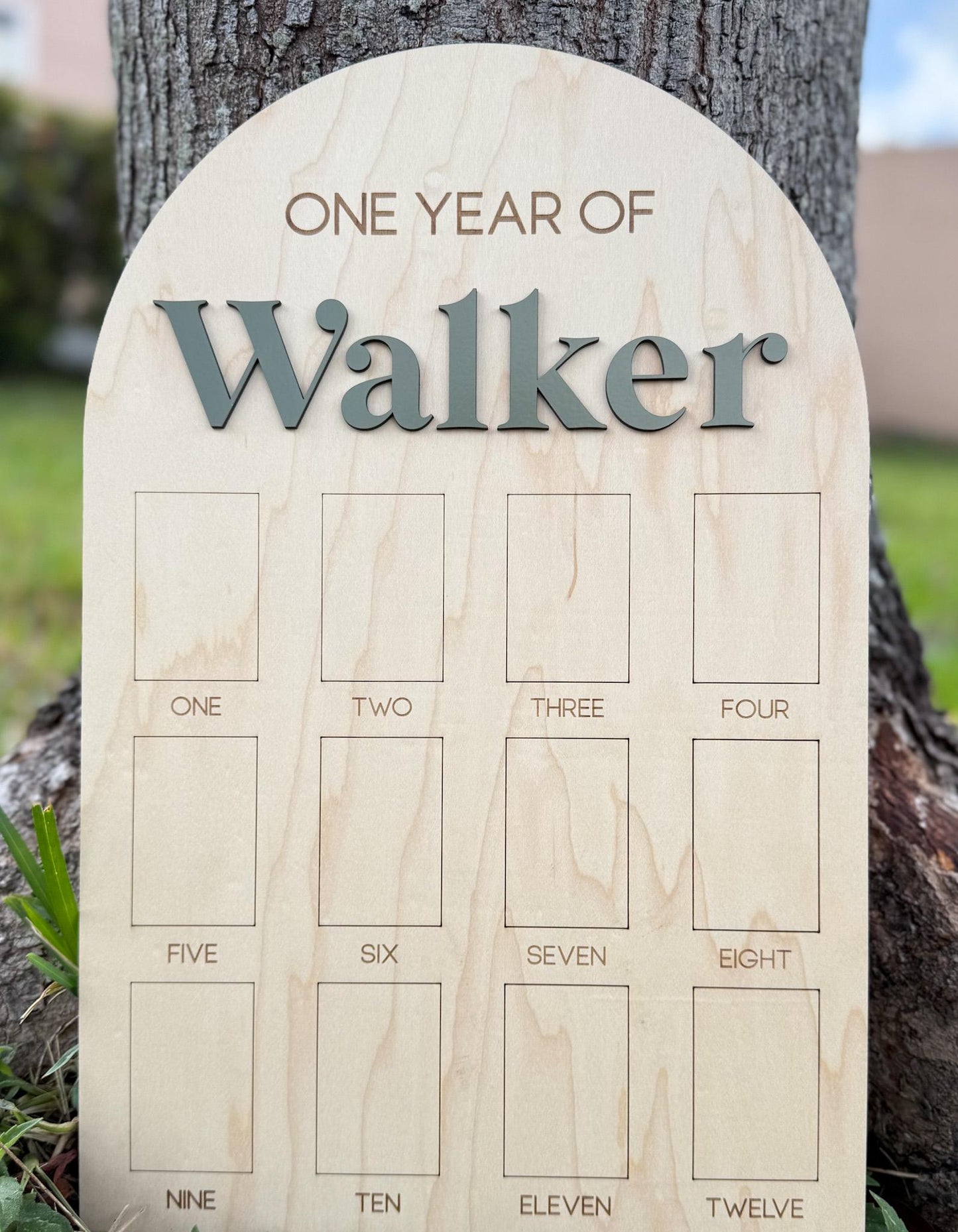 First Year Photo Board, One Year of Photo Board, Baby's my first year sign, 12 month frame, Birthday Decor, 1st Birthday Photo Collage,