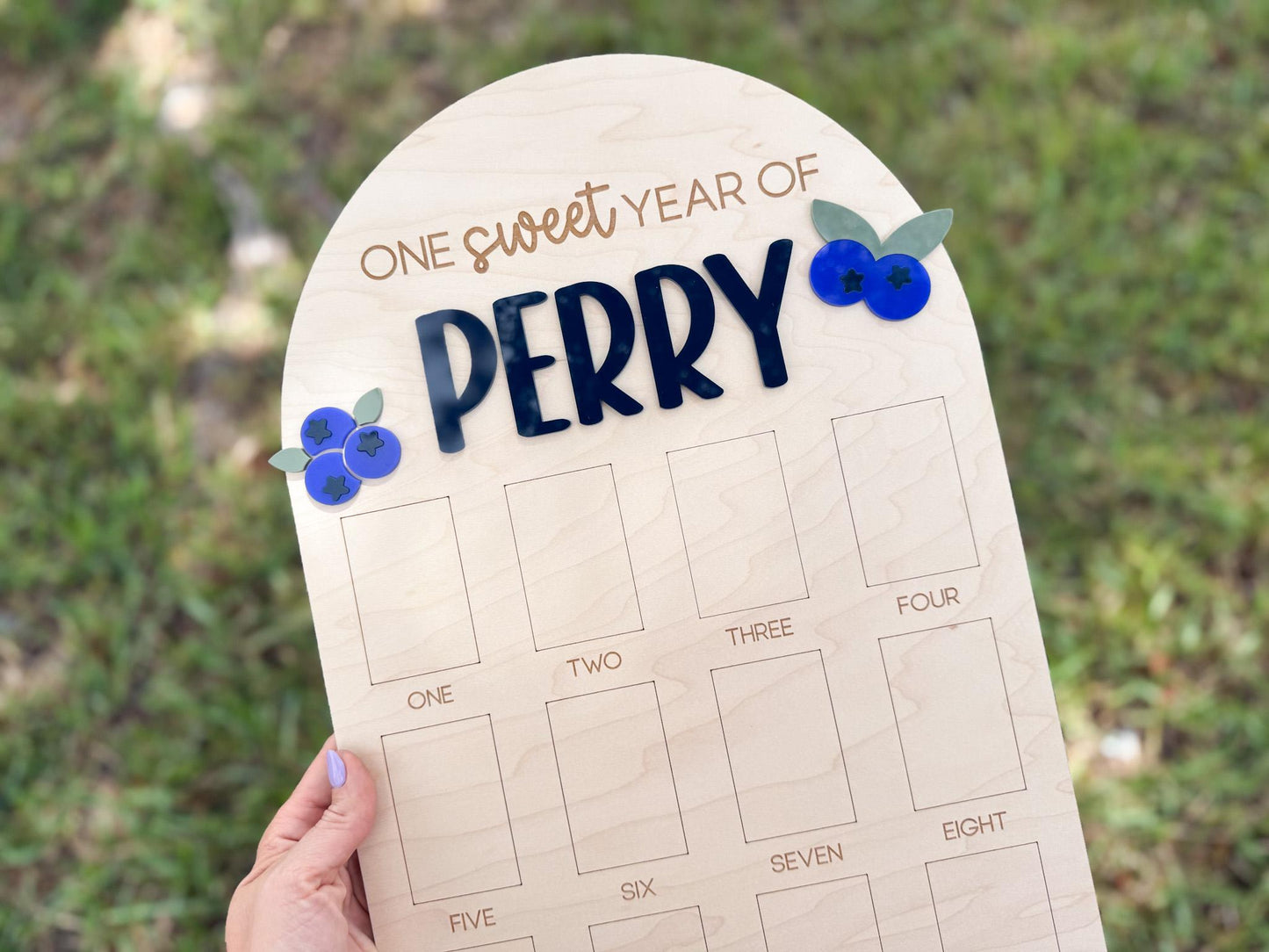 Blueberry Berry First Birthday Photo Board, One Year of Board Berry Sweet Birthday decor, Blueberry 1st birthday party decor sign, sweet one
