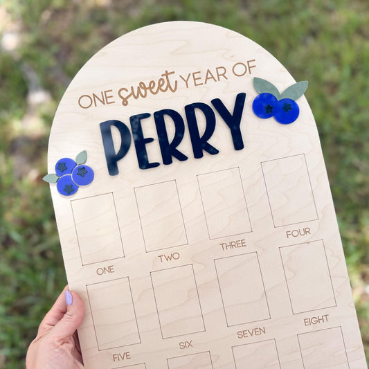 Blueberry Berry First Birthday Photo Board, One Year of Board Berry Sweet Birthday decor, Blueberry 1st birthday party decor sign, sweet one