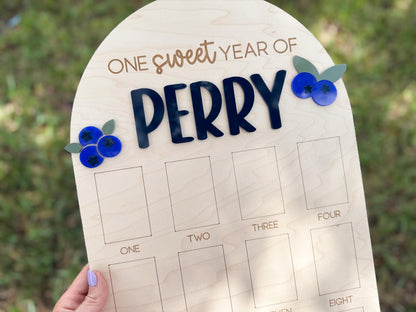 Blueberry Berry First Birthday Photo Board, One Year of Board Berry Sweet Birthday decor, Blueberry 1st birthday party decor sign, sweet one