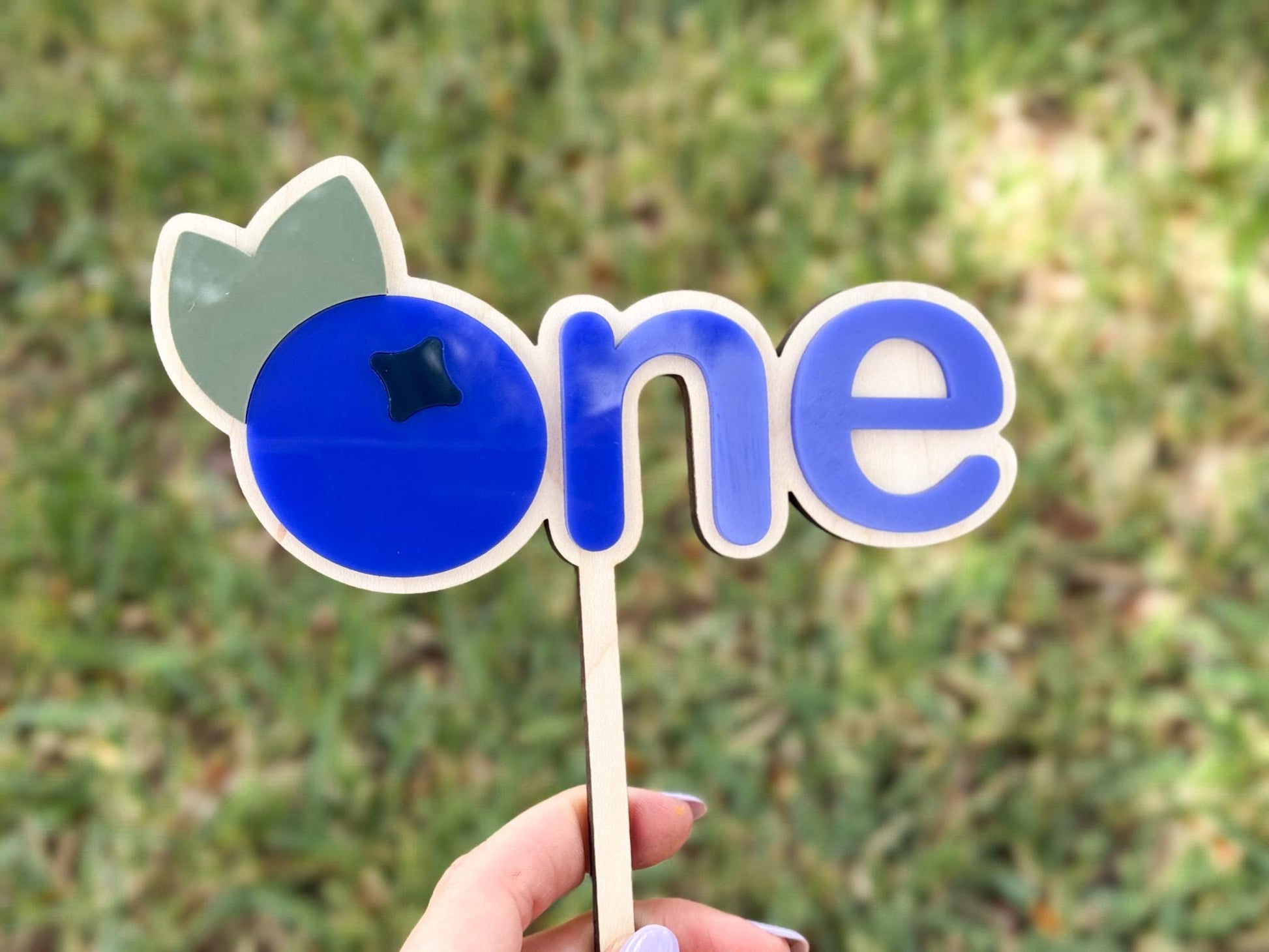 Blueberry Berry First Birthday Cake Topper, One Berry Sweet Year Cake Topper Birthday decor, Blueberry 1st birthday party sign, sweet one