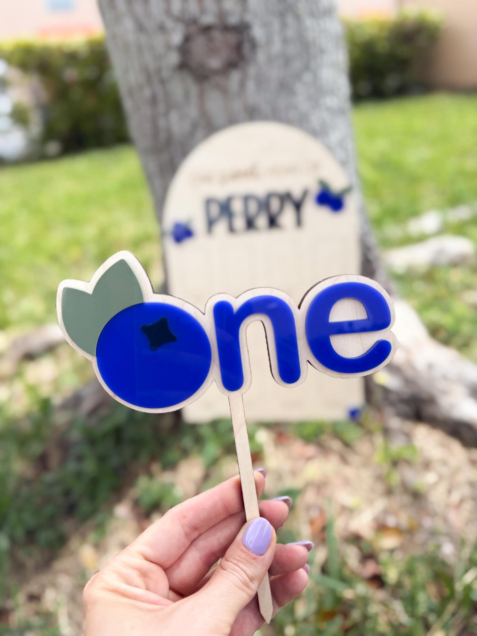 Blueberry Berry First Birthday Cake Topper, One Berry Sweet Year Cake Topper Birthday decor, Blueberry 1st birthday party sign, sweet one