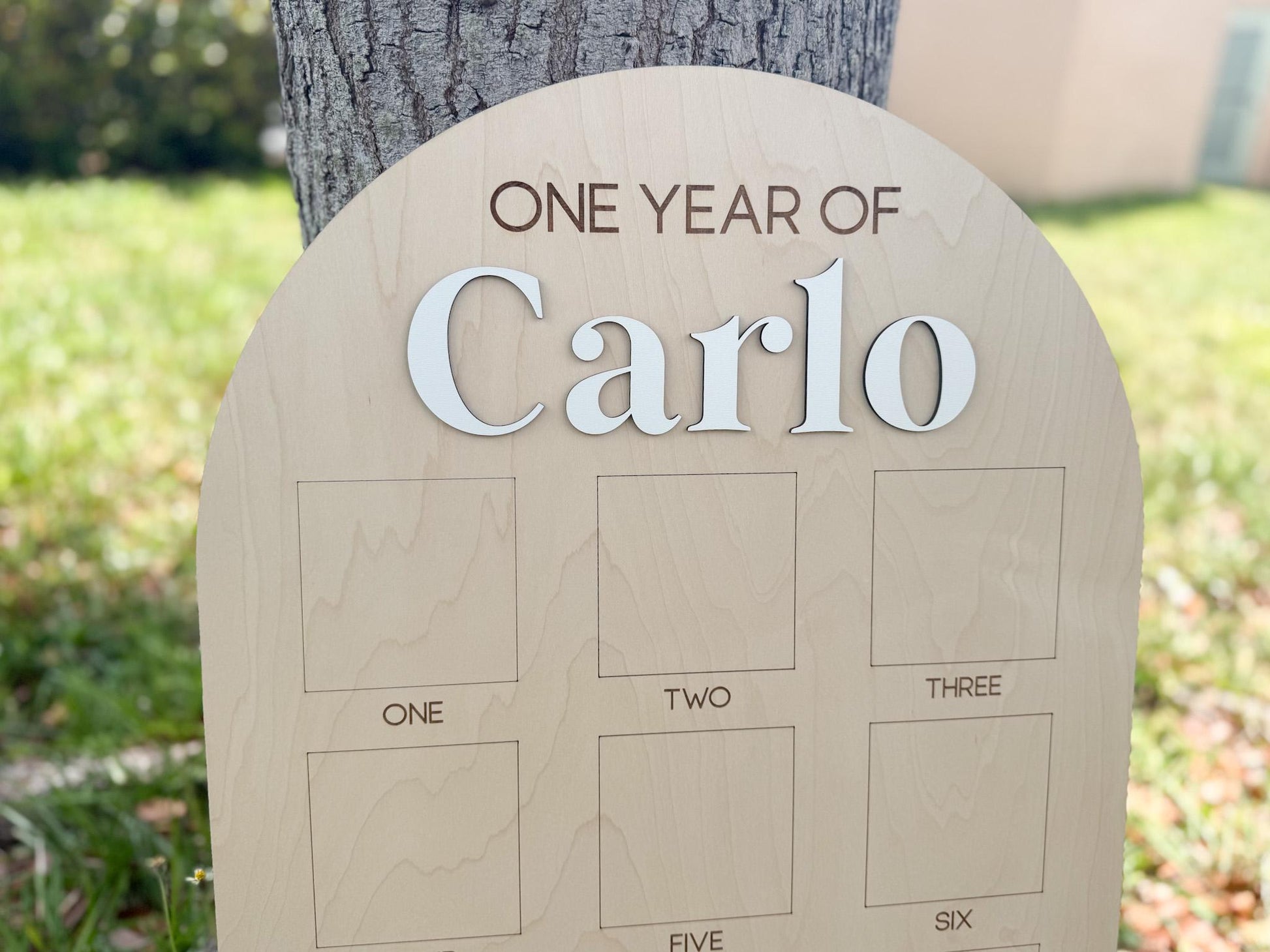 First Year Photo Board, One Year of Photo Board, Baby's my first year sign, 12 month frame, Birthday Decor, 1st Birthday Photo Collage,