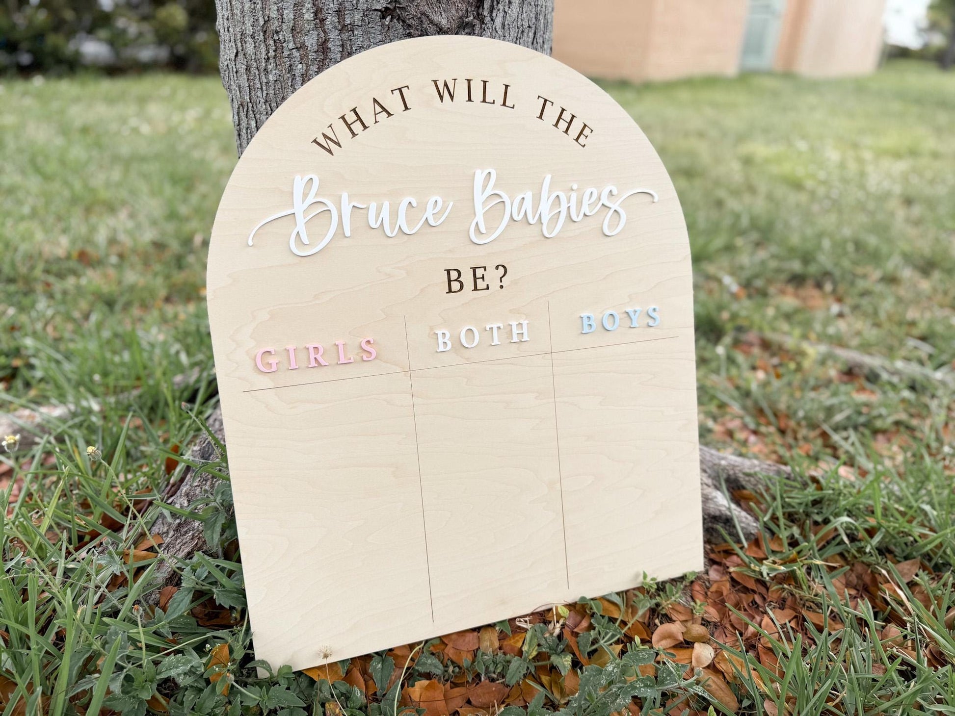 Gender Reveal Voting Board, Boy or Girl Twin Gender Guessing Game Sign, He or She What Will Twin Babies Be, Twin Gender Reveal Party Ideas