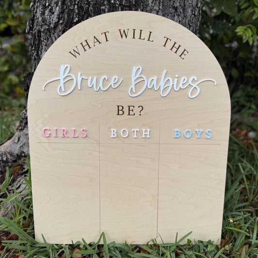 Gender Reveal Voting Board, Boy or Girl Twin Gender Guessing Game Sign, He or She What Will Twin Babies Be, Twin Gender Reveal Party Ideas