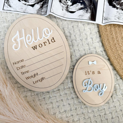 Hello World Gender Reveal Hospital Sign, Hospital Gender Reveal It's a Boy It's a Girl Wooden Sign, Gender Announcement Prop for Hospital