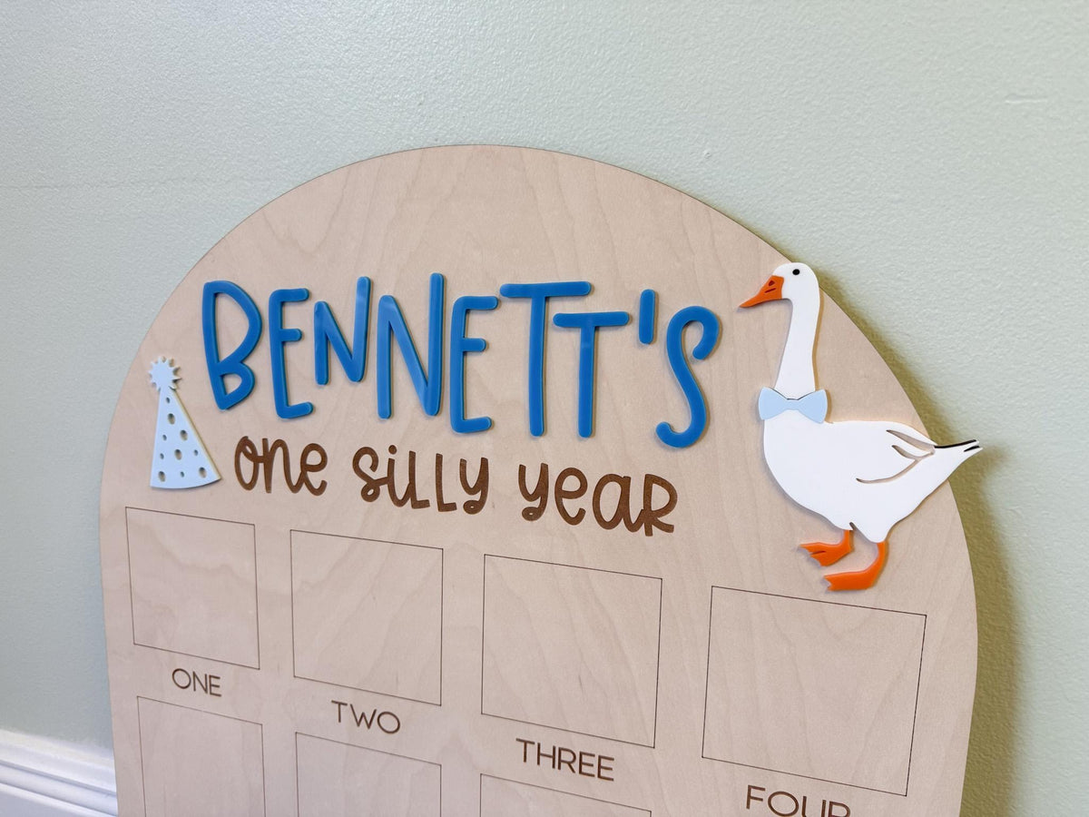 One Silly Goose First Birthday Photo Board, One Silly Year First Birthday, One Year Of Vintage Goose Milestone Sign First Year Photo Display